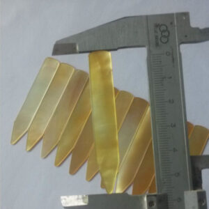 yellowlip shell collar stays