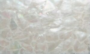 irregular whitelip mother of pearl shell laminate