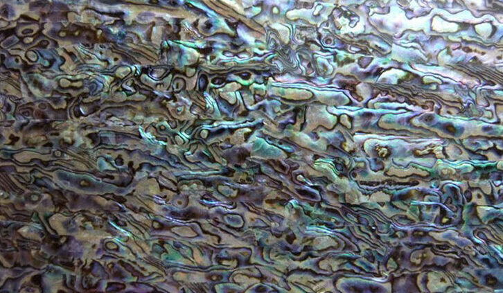 new zealand green abalone shell laminate