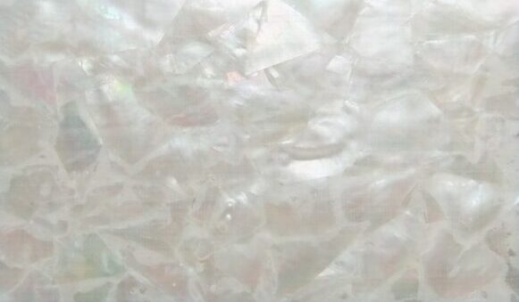 irregular whitelip mother of pearl shell laminate
