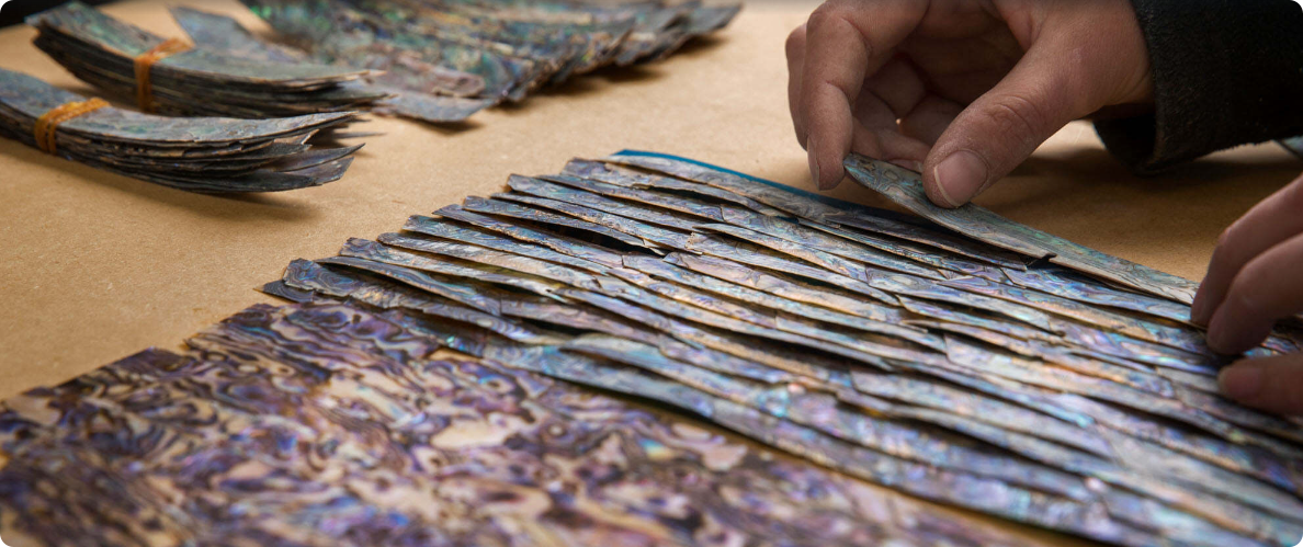 abalone shell veneer making way