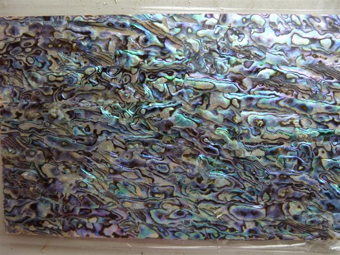 abaone shell veneer